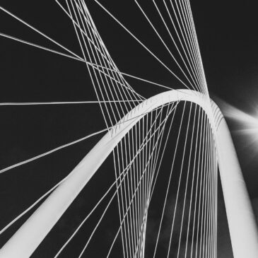 Confusing the two can lead to real misalignment — in strategy, in communication, and in how your brand shows up to the audiences that matter most.
